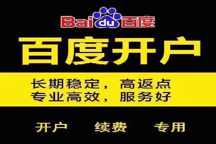 掌握SEM竞价技巧：从案例看效果提升